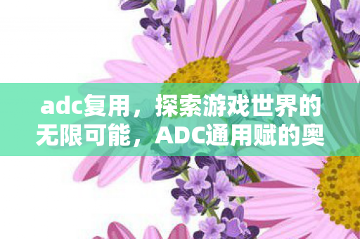 adc复用，探索游戏世界的无限可能，ADC通用赋的奥秘