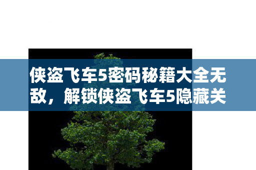 侠盗飞车5密码秘籍大全无敌,解锁侠盗飞车5隐藏关卡,揭秘神秘密码 侠盗飞车5密码秘籍大全无敌,解锁侠盗飞车5隐藏关卡,揭秘神秘密码