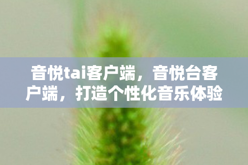 音悦tai客户端,音悦台客户端,打造个性化音乐体验的新选择 音悦tai客户端,音悦台客户端,打造个性化音乐体验的新选择