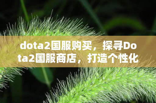 dota2国服购买，探寻Dota2国服商店，打造个性化游戏体验