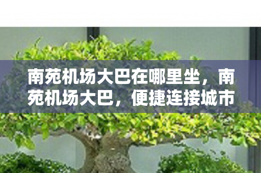 南苑机场大巴在哪里坐,南苑机场大巴,便捷连接城市与机场的交通枢纽 南苑机场大巴在哪里坐,南苑机场大巴,便捷连接城市与机场的交通枢纽