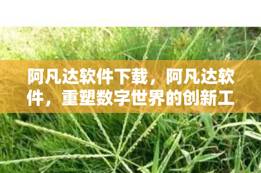 阿凡达软件下载，阿凡达软件，重塑数字世界的创新工具