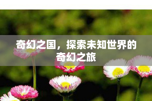 奇幻之国,探索未知世界的奇幻之旅 奇幻之国,探索未知世界的奇幻之旅