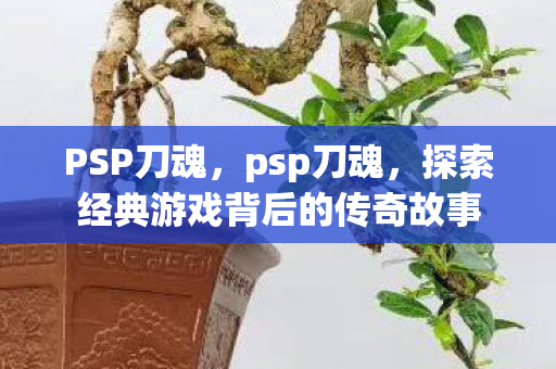 PSP刀魂，psp刀魂，探索经典游戏背后的传奇故事