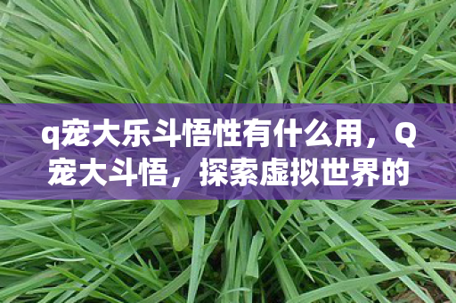q宠大乐斗悟性有什么用,Q宠大斗悟,探索虚拟世界的无限可能 q宠大乐斗悟性有什么用,Q宠大斗悟,探索虚拟世界的无限可能
