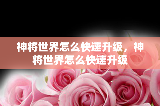 神将世界怎么快速升级,神将世界怎么快速升级 神将世界怎么快速升级,神将世界怎么快速升级