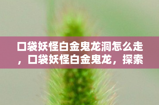 口袋妖怪白金鬼龙洞怎么走,口袋妖怪白金鬼龙,探索未知世界的奇妙旅程 口袋妖怪白金鬼龙洞怎么走,口袋妖怪白金鬼龙,探索未知世界的奇妙旅程