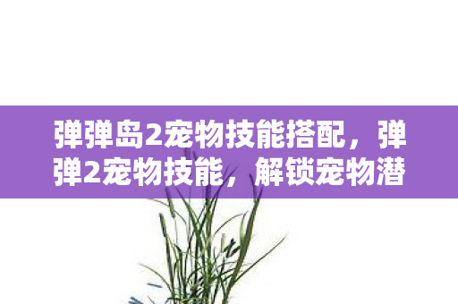 弹弹岛2宠物技能搭配,弹弹2宠物技能,解锁宠物潜能,提升战斗实力 弹弹岛2宠物技能搭配,弹弹2宠物技能,解锁宠物潜能,提升战斗实力