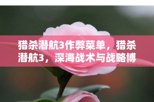 猎杀潜航3作弊菜单,猎杀潜航3,深海战术与战略博弈的巅峰之作 猎杀潜航3作弊菜单,猎杀潜航3,深海战术与战略博弈的巅峰之作