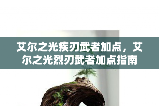 艾尔之光疾刃武者加点，艾尔之光烈刃武者加点指南