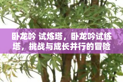 卧龙吟 试炼塔,卧龙吟试练塔,挑战与成长并行的冒险之旅 卧龙吟 试炼塔,卧龙吟试练塔,挑战与成长并行的冒险之旅