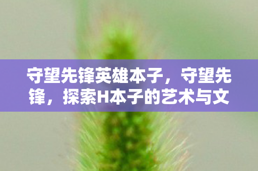 守望先锋英雄本子,守望先锋,探索H本子的艺术与文化 守望先锋英雄本子,守望先锋,探索H本子的艺术与文化