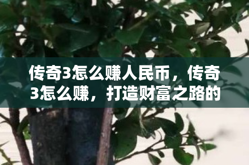 传奇3怎么赚人民币，传奇3怎么赚，打造财富之路的实用攻略