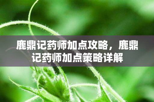鹿鼎记药师加点攻略,鹿鼎记药师加点策略详解 鹿鼎记药师加点攻略,鹿鼎记药师加点策略详解