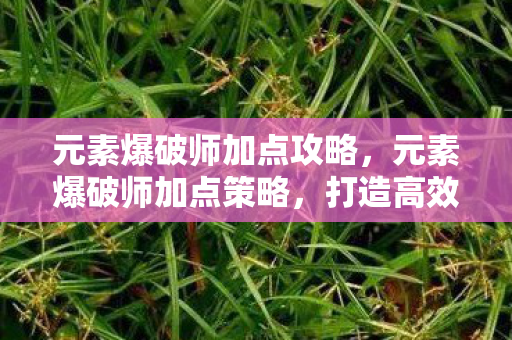 元素爆破师加点攻略,元素爆破师加点策略,打造高效战斗力的关键 元素爆破师加点攻略,元素爆破师加点策略,打造高效战斗力的关键