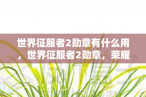 世界征服者2勋章有什么用,世界征服者2勋章,荣耀与战略的象征 世界征服者2勋章有什么用,世界征服者2勋章,荣耀与战略的象征