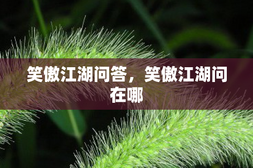 笑傲江湖问答，笑傲江湖问在哪