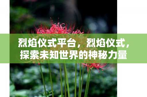 烈焰仪式平台,烈焰仪式,探索未知世界的神秘力量 烈焰仪式平台,烈焰仪式,探索未知世界的神秘力量