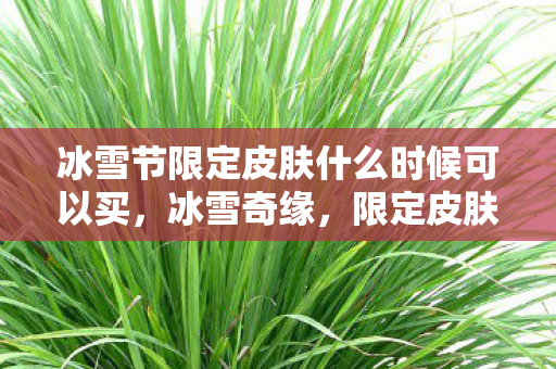 冰雪节限定皮肤什么时候可以买，冰雪奇缘，限定皮肤的魅力与收藏价值