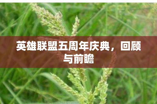 英雄联盟五周年庆典,回顾与前瞻 英雄联盟五周年庆典,回顾与前瞻