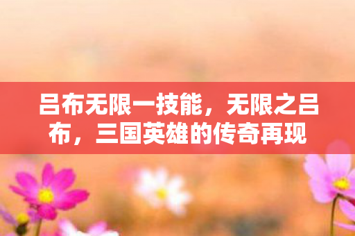 吕布无限一技能,无限之吕布,三国英雄的传奇再现 吕布无限一技能,无限之吕布,三国英雄的传奇再现