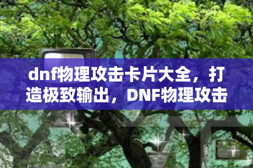 dnf物理攻击卡片大全，打造极致输出，DNF物理攻击卡的深度解析