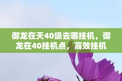 御龙在天40级去哪挂机,御龙在40挂机点,高效挂机,轻松升级 御龙在天40级去哪挂机,御龙在40挂机点,高效挂机,轻松升级