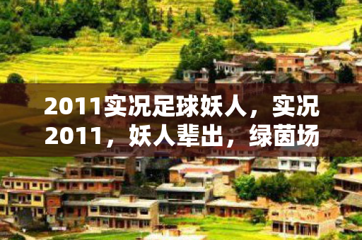 2011实况足球妖人,实况2011,妖人辈出,绿茵场上的传奇再现 2011实况足球妖人,实况2011,妖人辈出,绿茵场上的传奇再现