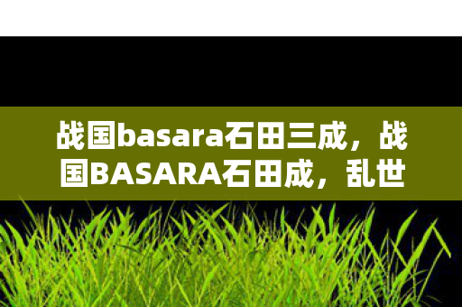 战国basara石田三成,战国BASARA石田成,乱世中的英雄与智谋 战国basara石田三成,战国BASARA石田成,乱世中的英雄与智谋
