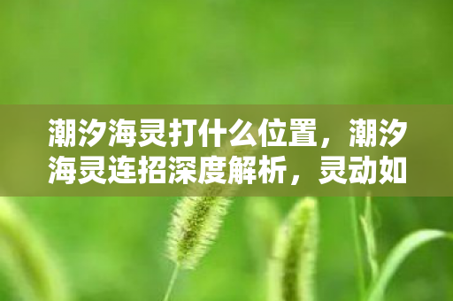 潮汐海灵打什么位置,潮汐海灵连招深度解析,灵动如潮,掌控海域 潮汐海灵打什么位置,潮汐海灵连招深度解析,灵动如潮,掌控海域