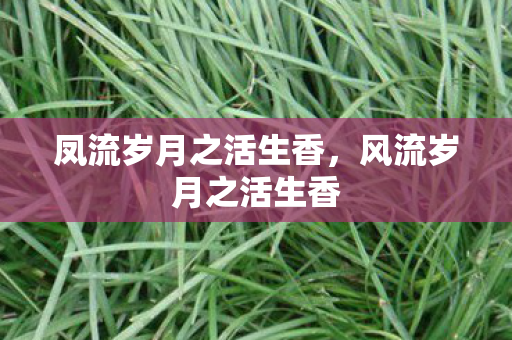 凤流岁月之活生香,风流岁月之活生香 凤流岁月之活生香,风流岁月之活生香