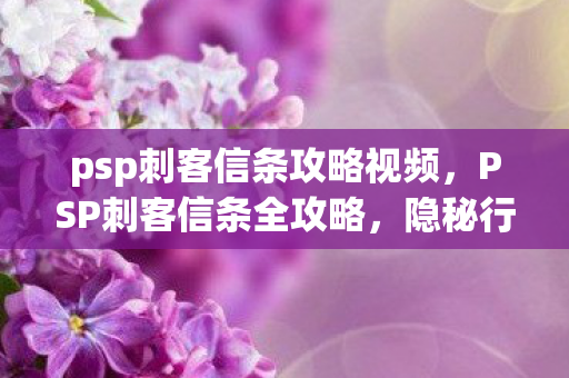 psp刺客信条攻略视频,PSP刺客信条全攻略,隐秘行动与技巧解析 psp刺客信条攻略视频,PSP刺客信条全攻略,隐秘行动与技巧解析