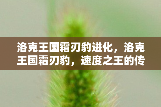 洛克王国霜刃豹进化,洛克王国霜刃豹,速度之王的传奇故事 洛克王国霜刃豹进化,洛克王国霜刃豹,速度之王的传奇故事