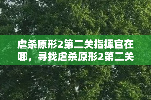 虐杀原形2第二关指挥官在哪,寻找虐杀原形2第二关指挥官的位置 虐杀原形2第二关指挥官在哪,寻找虐杀原形2第二关指挥官的位置