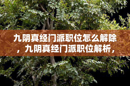 九阴真经门派职位怎么解除，九阴真经门派职位解析，从入门到高手的修炼之路