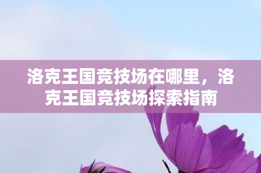 洛克王国竞技场在哪里,洛克王国竞技场探索指南 洛克王国竞技场在哪里,洛克王国竞技场探索指南