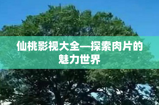 仙桃影视大全—探索肉片的魅力世界