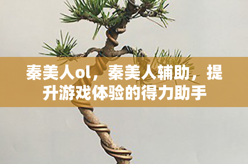 秦美人ol,秦美人辅助,提升游戏体验的得力助手 秦美人ol,秦美人辅助,提升游戏体验的得力助手