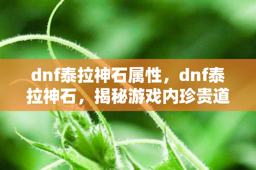 dnf泰拉神石属性,dnf泰拉神石,揭秘游戏内珍贵道具的神秘面纱 dnf泰拉神石属性,dnf泰拉神石,揭秘游戏内珍贵道具的神秘面纱