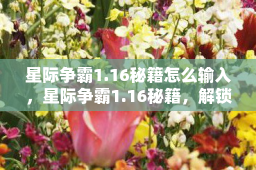 星际争霸1.16秘籍怎么输入,星际争霸1.16秘籍,解锁无限可能的策略游戏秘籍 星际争霸1.16秘籍怎么输入,星际争霸1.16秘籍,解锁无限可能的策略游戏秘籍