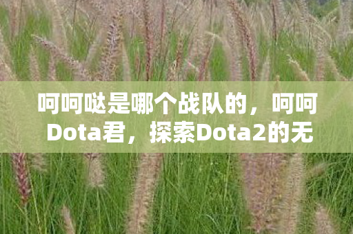 呵呵哒是哪个战队的,呵呵 Dota君,探索Dota2的无限可能 呵呵哒是哪个战队的,呵呵 Dota君,探索Dota2的无限可能