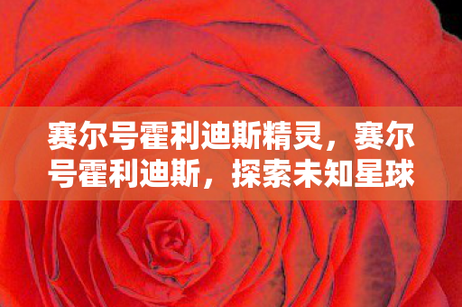 赛尔号霍利迪斯精灵,赛尔号霍利迪斯,探索未知星球的奇幻之旅 赛尔号霍利迪斯精灵,赛尔号霍利迪斯,探索未知星球的奇幻之旅