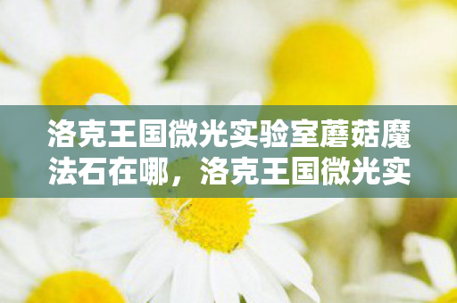 洛克王国微光实验室蘑菇魔法石在哪,洛克王国微光实验室蘑菇,探索奇幻世界的奇妙之旅 洛克王国微光实验室蘑菇魔法石在哪,洛克王国微光实验室蘑菇,探索奇幻世界的奇妙之旅