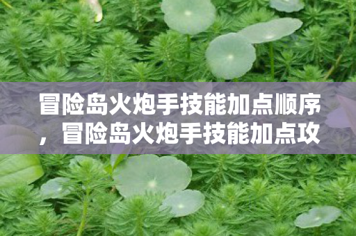 冒险岛火炮手技能加点顺序,冒险岛火炮手技能加点攻略 冒险岛火炮手技能加点顺序,冒险岛火炮手技能加点攻略
