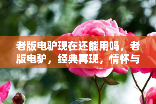 老版电驴现在还能用吗,老版电驴,经典再现,情怀与技术的双重致敬 老版电驴现在还能用吗,老版电驴,经典再现,情怀与技术的双重致敬