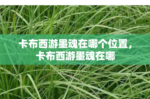 卡布西游墨魂在哪个位置,卡布西游墨魂在哪 卡布西游墨魂在哪个位置,卡布西游墨魂在哪