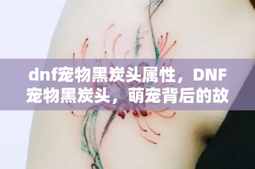 dnf宠物黑炭头属性,DNF宠物黑炭头,萌宠背后的故事与养成攻略 dnf宠物黑炭头属性,DNF宠物黑炭头,萌宠背后的故事与养成攻略