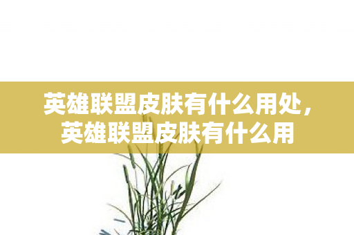 英雄联盟皮肤有什么用处,英雄联盟皮肤有什么用 英雄联盟皮肤有什么用处,英雄联盟皮肤有什么用