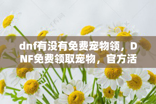 dnf有没有免费宠物领,DNF免费领取宠物,官方活动与福利详解 dnf有没有免费宠物领,DNF免费领取宠物,官方活动与福利详解