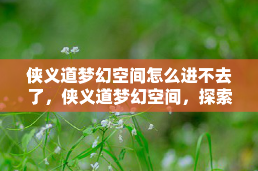 侠义道梦幻空间怎么进不去了,侠义道梦幻空间,探索未知世界的奇妙旅程 侠义道梦幻空间怎么进不去了,侠义道梦幻空间,探索未知世界的奇妙旅程